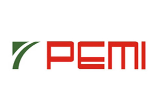 PEMI-PETROL ARAMA ve ÜRETİM A.Ş.